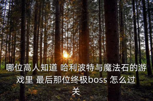 哪位高人知道 哈利波特与魔法石的游戏里 最后那位终极boss 怎么过关