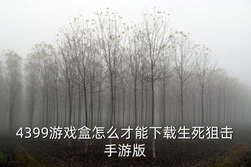 4399游戏盒怎么才能下载生死狙击手游版