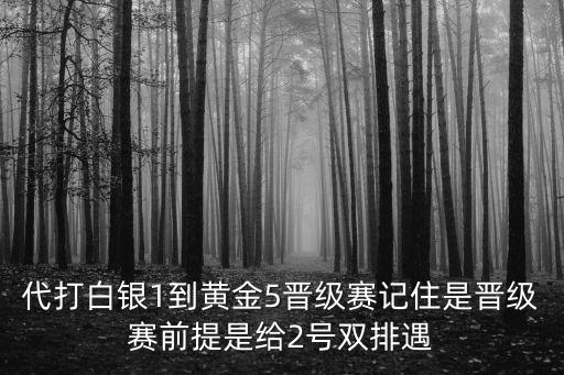 代打白银1到黄金5晋级赛记住是晋级赛前提是给2号双排遇