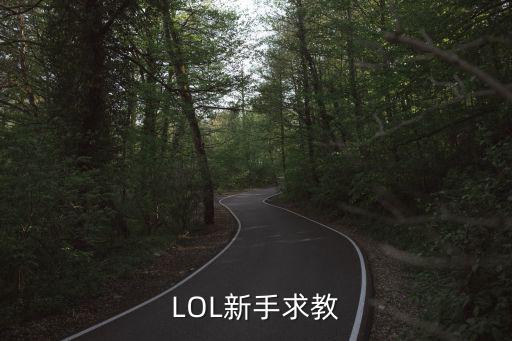 LOL新手求教