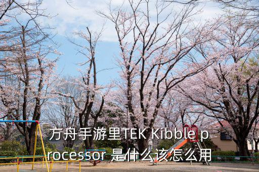 方舟手游怎么用泰克鞍，方舟手游里TEK Kibble processor 是什么该怎么用