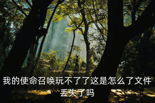 我的使命召唤玩不了了这是怎么了文件丢失了吗