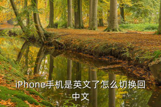 iPhone手机是英文了怎么切换回中文