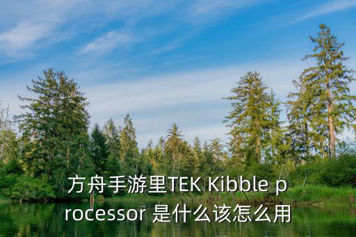 方舟手游里TEK Kibble processor 是什么该怎么用