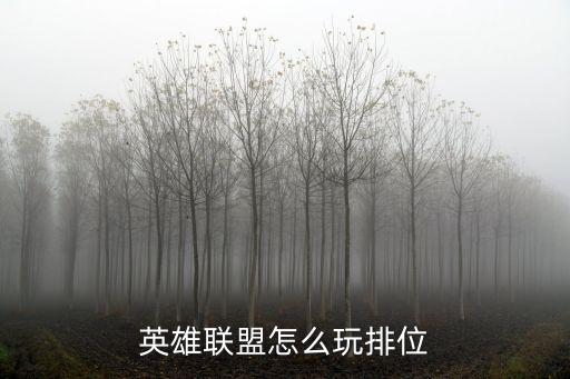 联盟手游怎么上排名的，怎样提升盟里的排名