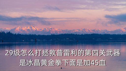 29级怎么打拯救普雷利的第四关武器是冰晶黄金拳下面是加45血