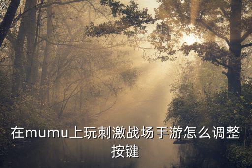 在mumu上玩刺激战场手游怎么调整按键