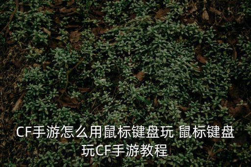 CF手游怎么用鼠标键盘玩 鼠标键盘玩CF手游教程