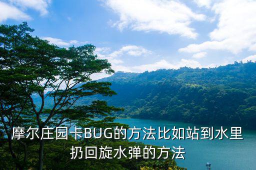 摩尔庄园卡BUG的方法比如站到水里扔回旋水弹的方法