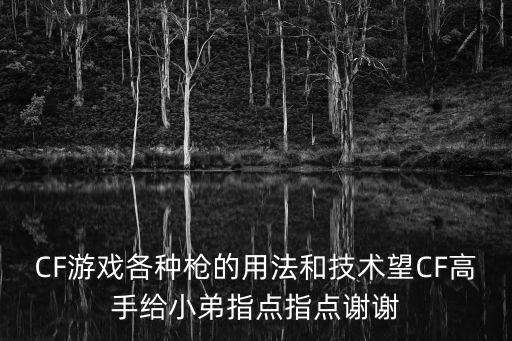 CF游戏各种枪的用法和技术望CF高手给小弟指点指点谢谢