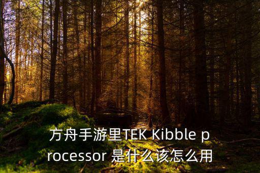 方舟手游50人服务器怎么样，方舟手游里TEK Kibble processor 是什么该怎么用