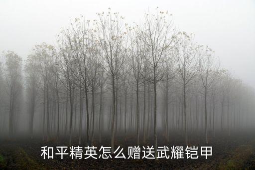 和平精英怎么赠送武耀铠甲