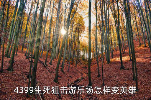 4399生死狙击游乐场怎样变英雄