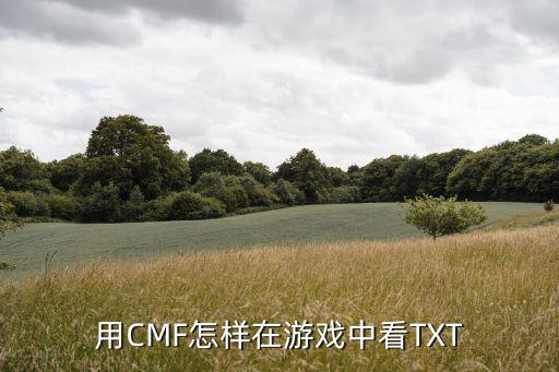 用CMF怎样在游戏中看TXT