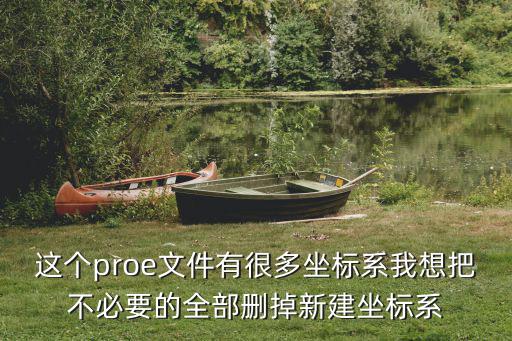 这个proe文件有很多坐标系我想把不必要的全部删掉新建坐标系