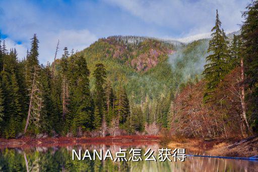 NANA点怎么获得