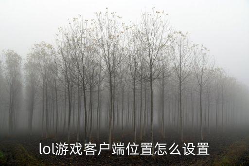 lol手游怎么改自己位置，lol游戏客户端位置怎么设置