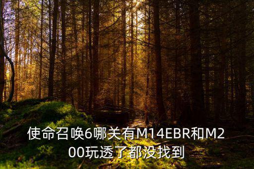 使命召唤6哪关有M14EBR和M200玩透了都没找到