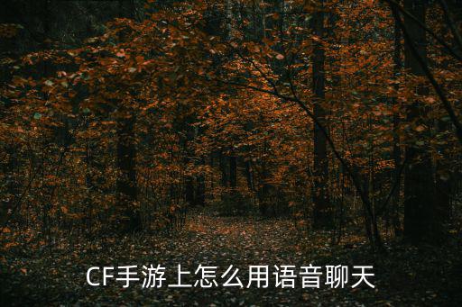 CF手游上怎么用语音聊天