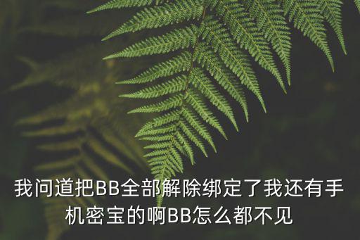 我问道把BB全部解除绑定了我还有手机密宝的啊BB怎么都不见