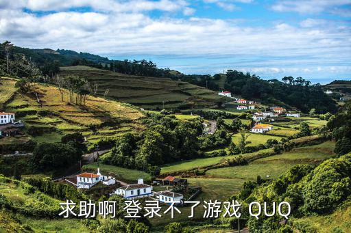 求助啊 登录不了游戏 QUQ