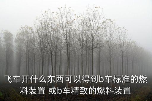 飞车开什么东西可以得到b车标准的燃料装置 或b车精致的燃料装置