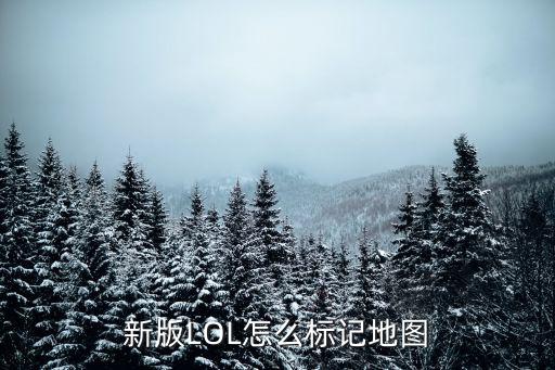 新版LOL怎么标记地图