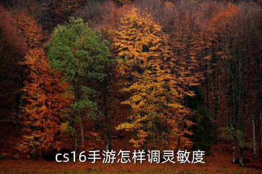 cs16手游怎样调灵敏度