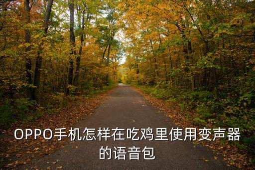 手游吃鸡怎么买变声器皮肤，吃鸡可以在游戏里自己说话又可以变声是怎么弄的