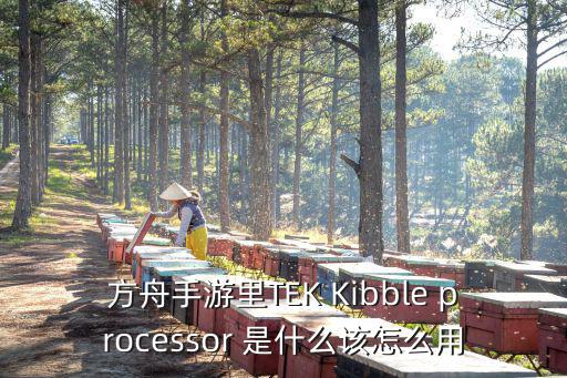 方舟手游里TEK Kibble processor 是什么该怎么用