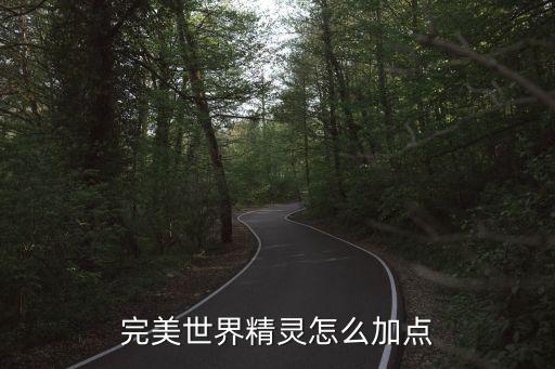 完美世界精灵怎么加点