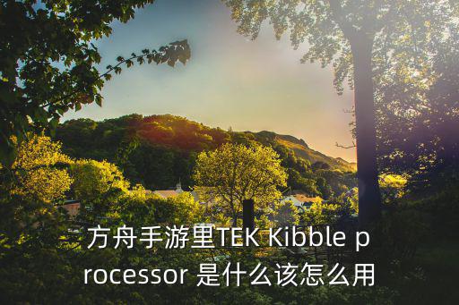 方舟手游里TEK Kibble processor 是什么该怎么用