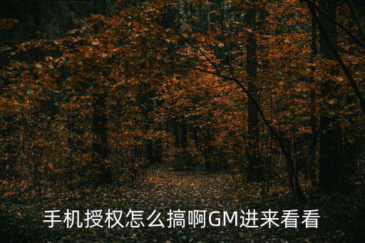 使命召唤手游怎么授权登录，手机授权怎么搞啊GM进来看看