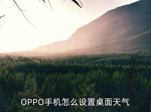 OPPO手机怎么设置桌面天气