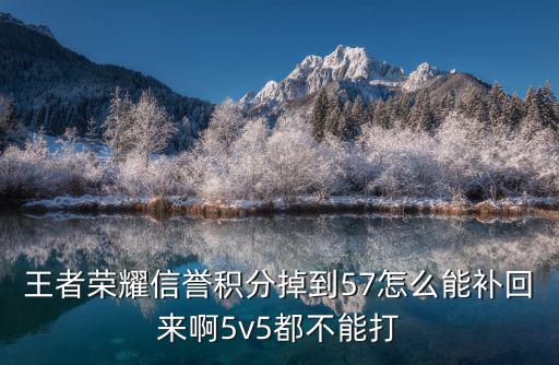 王者荣耀信誉积分掉到57怎么能补回来啊5v5都不能打