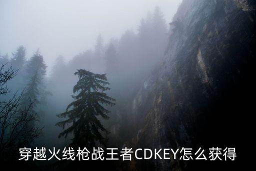 穿越火线枪战王者CDKEY怎么获得