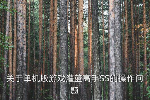 关于单机版游戏灌篮高手SS的操作问题