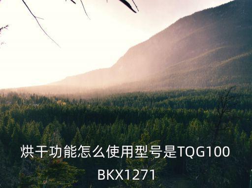 烘干功能怎么使用型号是TQG100BKX1271