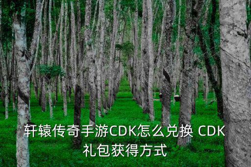 轩辕传奇手游CDK怎么兑换 CDK礼包获得方式