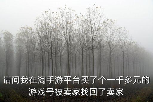 请问我在淘手游平台买了个一千多元的游戏号被卖家找回了卖家