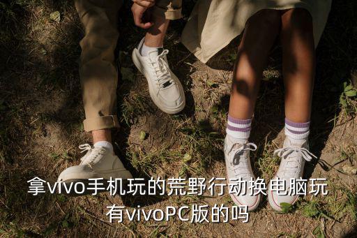 拿vivo手机玩的荒野行动换电脑玩有vivoPC版的吗