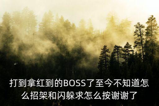 打到拿红到的BOSS了至今不知道怎么招架和闪躲求怎么按谢谢了