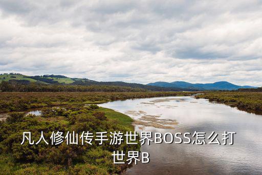 凡人修仙传手游世界BOSS怎么打 世界B