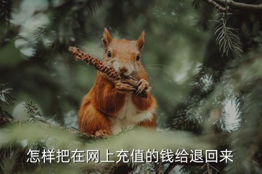 怎样把在网上充值的钱给退回来