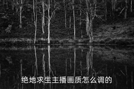 绝地求生主播画质怎么调的