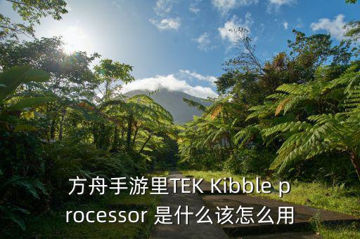 方舟手游里TEK Kibble processor 是什么该怎么用