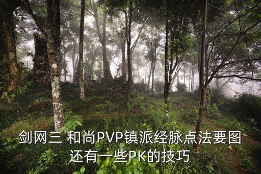 剑网三 和尚PVP镇派经脉点法要图还有一些PK的技巧