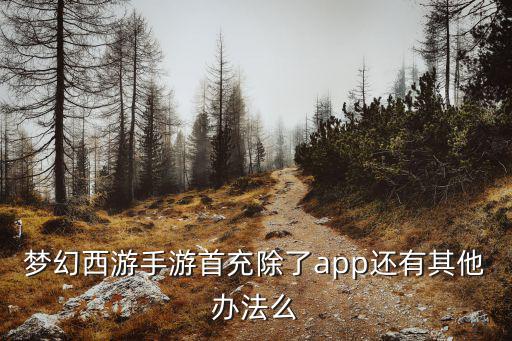 梦幻手游苹果版怎么充值，苹果app游戏怎么充值