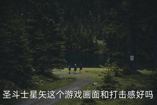 圣斗士星矢这个游戏画面和打击感好吗