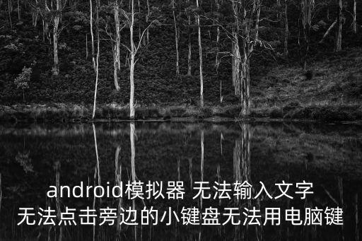 android模拟器 无法输入文字无法点击旁边的小键盘无法用电脑键